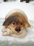 Hunde_10