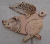 Schweine_05