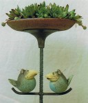 Garten_11