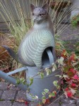 Garten_13